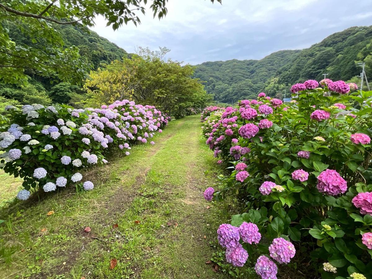 Ｋａｏｒｕ　Ｉｎｎ Villa Minamiizu Eksteriør billede